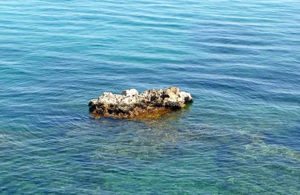 Fotografija je simbolična.