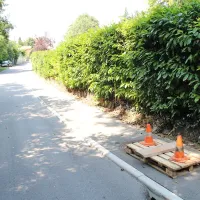 Očividec je moškega in žensko, ki se prerivata, opazil v bližini 
stožcev.