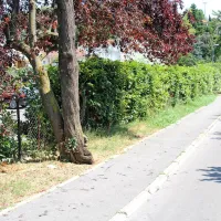 Neznanec je nazadnje skočil čez ograjo za drevesom in 
izginil. 