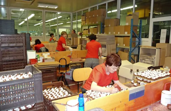 Zaposleni v  tolminskem Metalflexu bodo danes za dve uri 
opozorilno odložili delo.