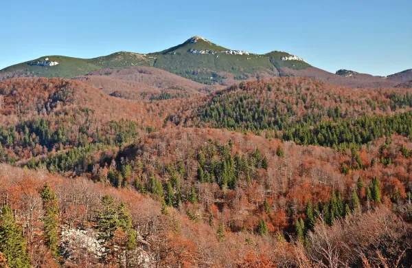 Gozdni rezervat Snežnik in vrh Snežnika