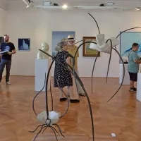 Galerija Insula praznuje 30 let