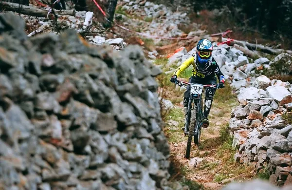 Naslov v spustu bo napadala Monika Hrastnik (Črn trn 
Ajdovščina). 