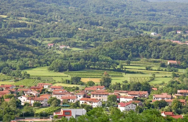 Novi občinski odlok ne predvideva oprostitve plačila, občina 
pa določenim  kategorijam pri plačilu komunalnega prispevka 
nudi  subvencije.