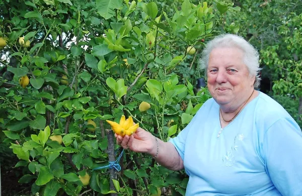Mira Sluga s &ldquo;čudežnimi&rdquo; limonami