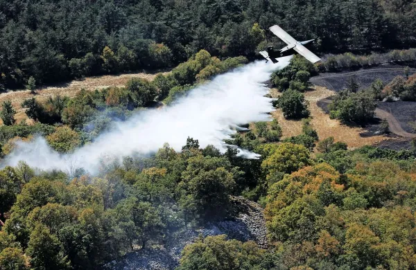 Zelo velika verjetnost za nastanek in širjenje požarov v 
naravnem okolju je na območju Bele krajine, Brkinov, Dolenjske, Kočevskega, Istre, Pomurja, Spodnjega Posavja in 
Zgornjesavskega.