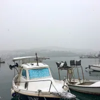 V Zalogu pri Novem mestu izbruhnil večji požar