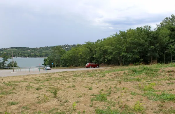 Naprodaj so &scaron;tirje hektarji ankaranskega gozda