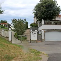 Naprodaj so &scaron;tirje hektarji ankaranskega gozda