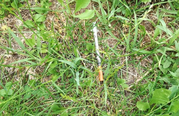 Na travniku na Kajuhovi ulici so otroci med igro nedavno 
naleteli na odvrženo brizgo z iglo. 