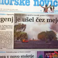 Na severnem Primorskem je v slabe pol ure izbruhnilo kar pet 
požarov. Pri Mirnu (na fotografiji) se je zaradi vetra ogenj 
razširil v Italijo.