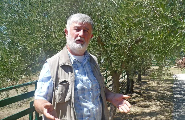 Jožef Horvat: “Načrt, ki sta ga podprla ministrstvo 
in občina, vključuje lokacijo v Ribili v Sečovljah, 
kjer so najboljša zemljišča. Za nas je sporen tudi 
del zemljišč na Krogu proti Medošem, kjer se 
nahajajo stari oljčniki.” 