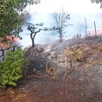 Ogenj uničil star vagon in 20 trt