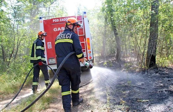 Po četrtkovem popoldnevu, večeru in neprespani  noči je 
gasilce včeraj dopoldne čakalo še naporno zalivanje robov 
požarišča.  