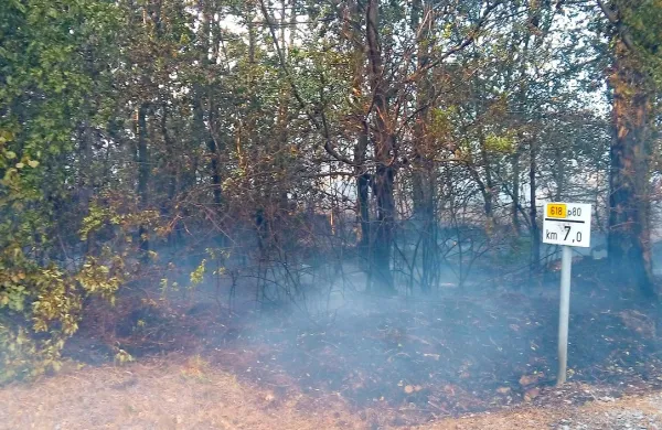 Ogenj je pogoltnil približno 120 hektarjev površine.
