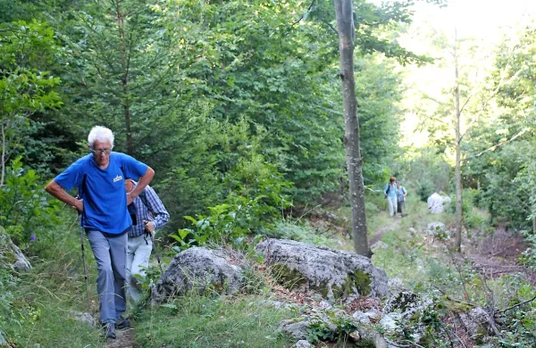 Do koče je mogoče priti po zložni poti skozi gozd ...