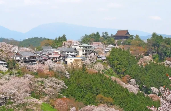 

Povprečna življenjska doba na Japonskem je  83 let.