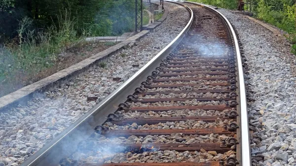 Tako so bili ogenjčki posejani po železnici pri Kačičah prejšnji 
teden; nekaj jih je preraslo v velik požar. Da se to ne bi 
ponovilo, želijo preprečiti s presekami, potmi in zidovi. 