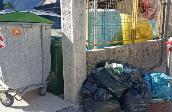 Nekateri se poskušajo smeti znebiti na sporen način, saj jih 
odlagajo kar v zabojnike sosedov, na cesto ali pa v ekološke 
otoke.