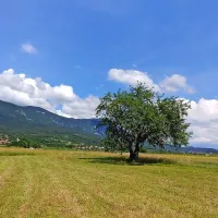 Isti motiv, zajet s širokokotnim objektivom 12mm ... 