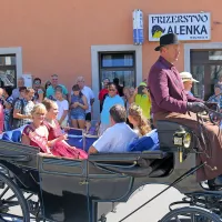 Brez kraljice terana ni Praznika terana in pršuta. Zdaj že bivšo 
kraljico terana Kristina Tavčar in novopečeno kraljico terana 
Tinkaro Gulič sta na prireditveni prostor pospremila David 
Štok, predsednik Društva vinarjev in vinogradnikov Krasa, in 
Maja Žibert, vinska kraljica Slovenije. 