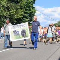 Kraški ovčarji so očarali prav vse.