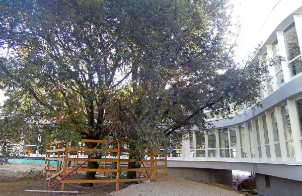 Zaradi spora med izvajalcem del in investitorjem, ministrstvom za delo, je zastala gradnja centra za osebe s 
posebnimi potrebami na Debelem rtiču. 