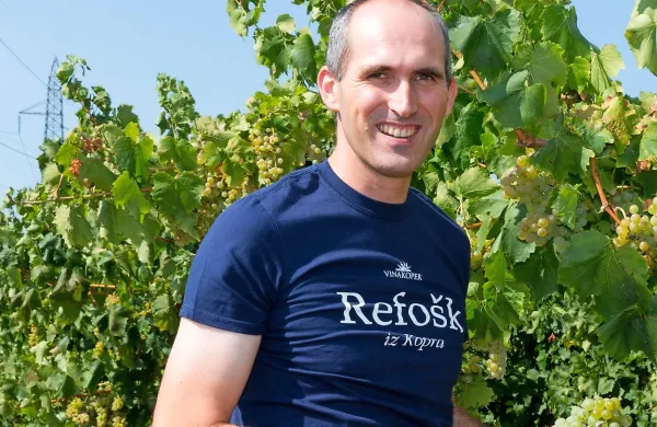 Boštjan Zidar: “Količinsko bomo pobrali  nekoliko 
manj grozdja, kot velja v povprečju. Zato pa kaže, 
da bo kakovost boljša. Jagode so lepe in zdrave.”