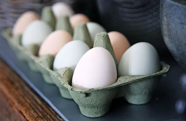 Jajčni izdelki s fipronilom tudi v Sloveniji
