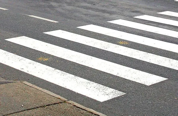 Zbil pe&scaron;ca in pobegnil