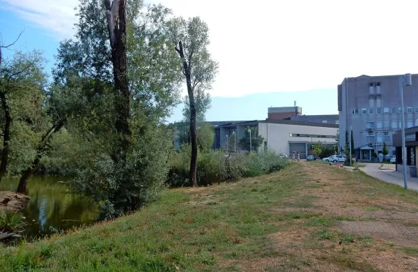 Bele vrbe in vrbe ive bodo zasadili ob bajerju oziroma 
zadrževalniku, kjer so pred časom zaradi različnih razlogov 
odstranili precej dreves. 