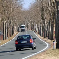 Pred katerim 200-metrskim odsekom drevoredov ob glavni 
cesti pod Brkini bodo stale ograje, bo jasno že kmalu. 