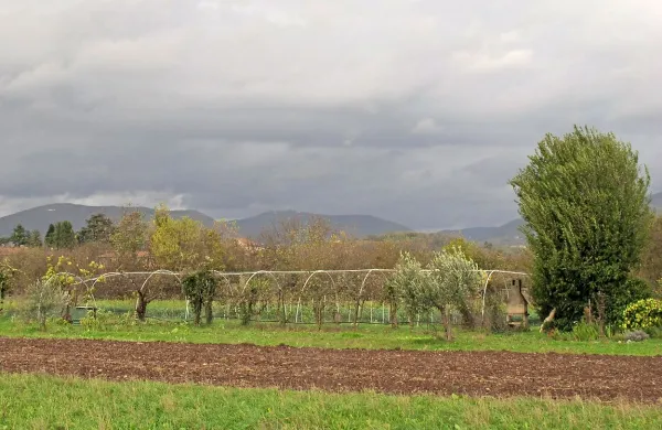 V ponedeljek se bo pooblačilo. Od severa se bodo začele 
pojavljati krajevne padavine, deloma nevihte, ki se bodo 
postopno razširile nad večji del Slovenije in ponehale v noči 
na torek.
