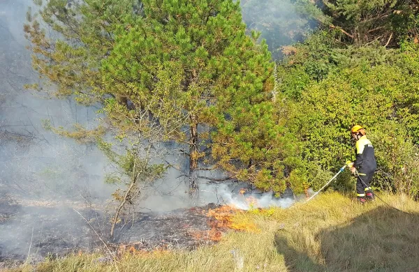 V nedeljo so  gasilci hitro pogasili manjši požar pri Rožicah. 