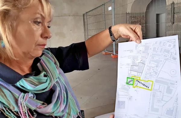 Barbara Verdnik: “Iz katastra zavoda za varstvo kulturne dediščine, ki so ga 
izdelali pred obnovo Pretorske palače leta 2001, je razvidno, da je  mala loža 
od nekdaj sodila pod okrilje palače.”