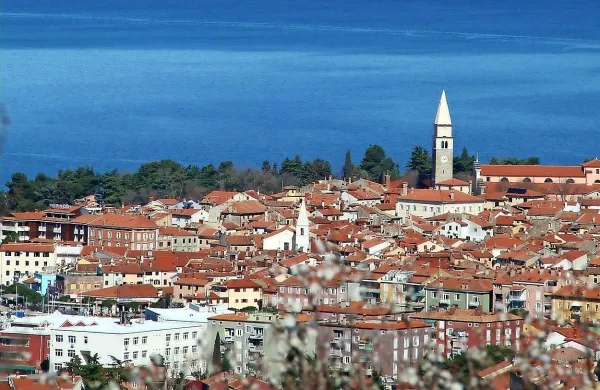 Izola