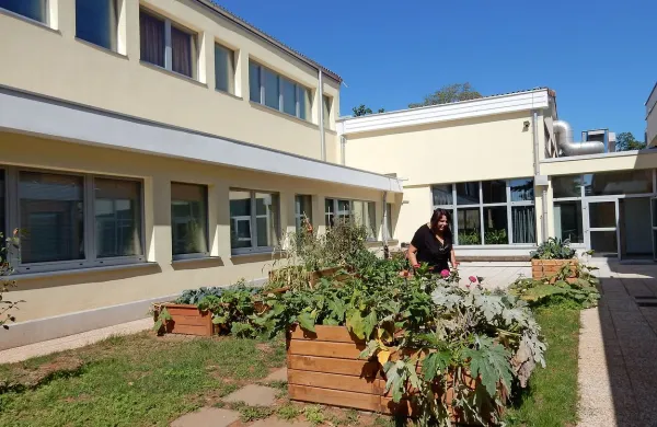 V sežanski osnovni šoli bo učence pričakal tudi bogato 
založen šolski vrt, ki so ga v atriju šole zasnovali že preteklo 
šolsko leto, v letošnjem pa ga bodo še povečali in nadgradil  
z učilnico na prostem. 