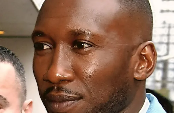 V glavni vlogi bo oskarjevec Mahershala Ali, ki je odigral 
glavno vlogo v Mesečini.