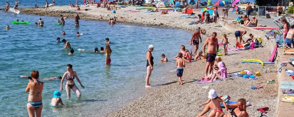 Vi&scaron;ki in glave