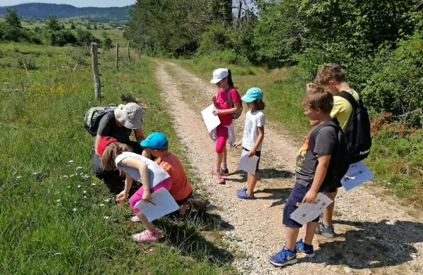 Namesto za zasloni so pivški otroci  letošnje počitniške petke 
preživeli v Ekomuzeju Pivških presihajočih jezer. Posebej 
zanimivo je bilo iskanje zaklada, saj so v skrinjici našli - 
naravo.