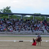 Zaščitni znak španske jahalne šole Cordoba Ecuestre so 
plesalke flamenka, ki dopolnjujejo predstavo konj.
