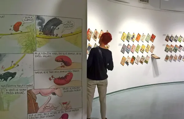 Razstava Ciciban: prvih 70 let bo v Mestni galeriji Nova 
Gorica na ogled do 14. septembra. 