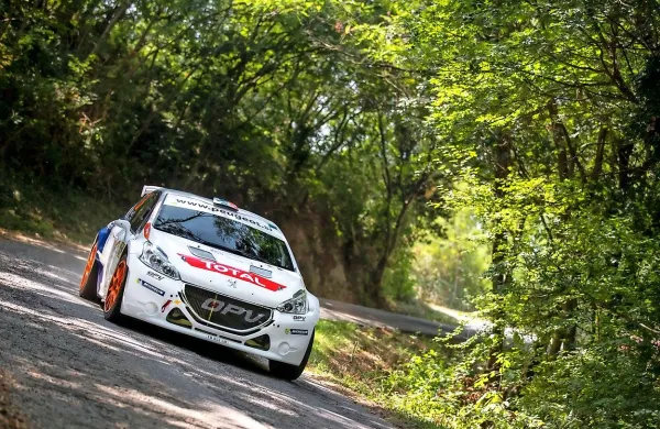 Idrijčan Rok Turk  s  peugeotom 208 R5 bo na novogoriškem 
reliju  poskušal mešati štrene močni mednarodni konkurenci.