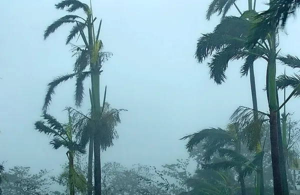 Irma na Karibih povzročila opusto&scaron;enje in zahtevala smrtne žrtve