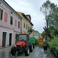Brest klonil zaradi vetra in dežja