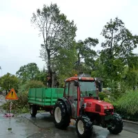Brest klonil zaradi vetra in dežja