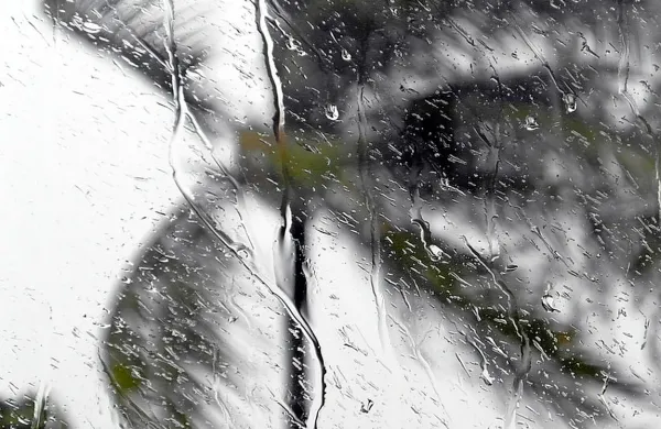 Orkan Irma je do ponedeljka zvečer prešel ameriško zvezno 
državo Florida po vsej njeni širini in za seboj pustil razdejanje, 
ki ga bodo še dolgo odstranjevali.