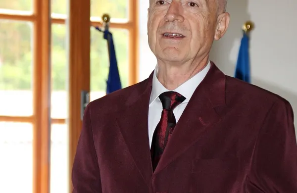 Priznani leonardist in direktor muzeja Museo Ideale Leonardo 
da Vinci v mestu Vinci  Alessandro Vezzosi je pojasnil, kaj je 
Leonarda pred dobrimi 500. leti pripeljalo  v Vipavo. 