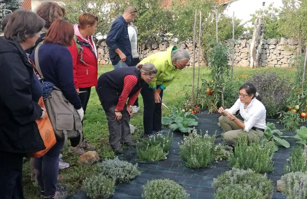 Andrejka Cerkvenik (v belem) je udeležencem delavnic o 
šetraju praktično pokazala, kateri poganjki so primerni za 
razmnoževanje teh rastlin s potaknjenci.  

 