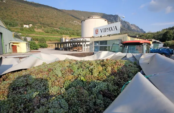 Agromib je za  Agroind v stečaju že plačal celotno kupnino .